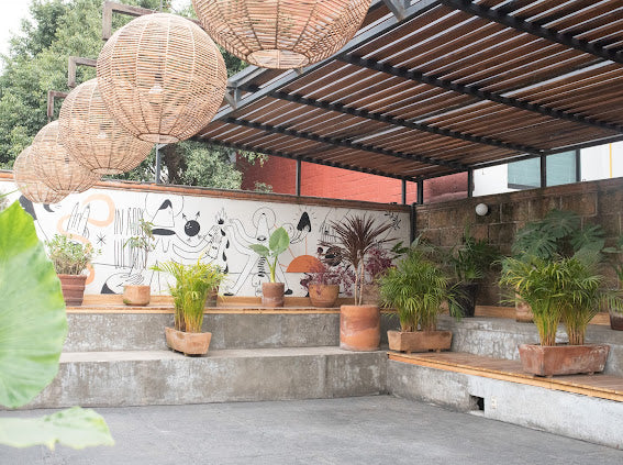 Renta de Rooftop (Básico)