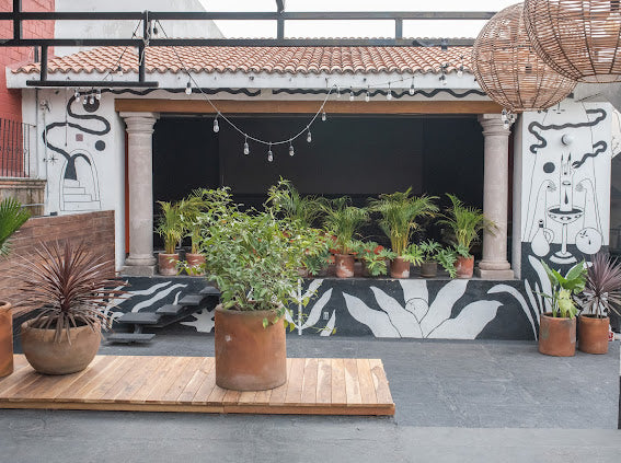 Renta de Rooftop (Básico)