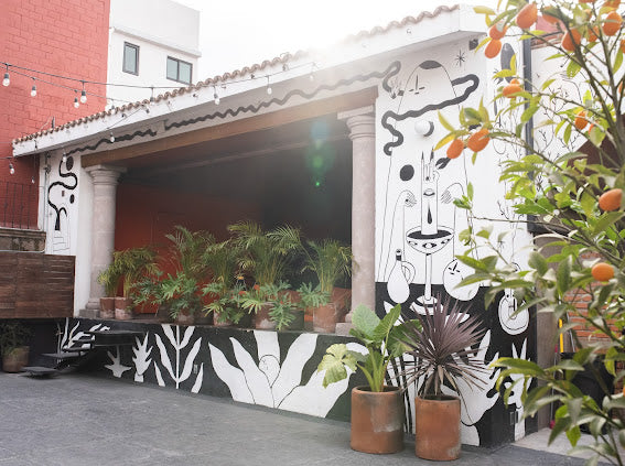 Renta de Rooftop (Básico)