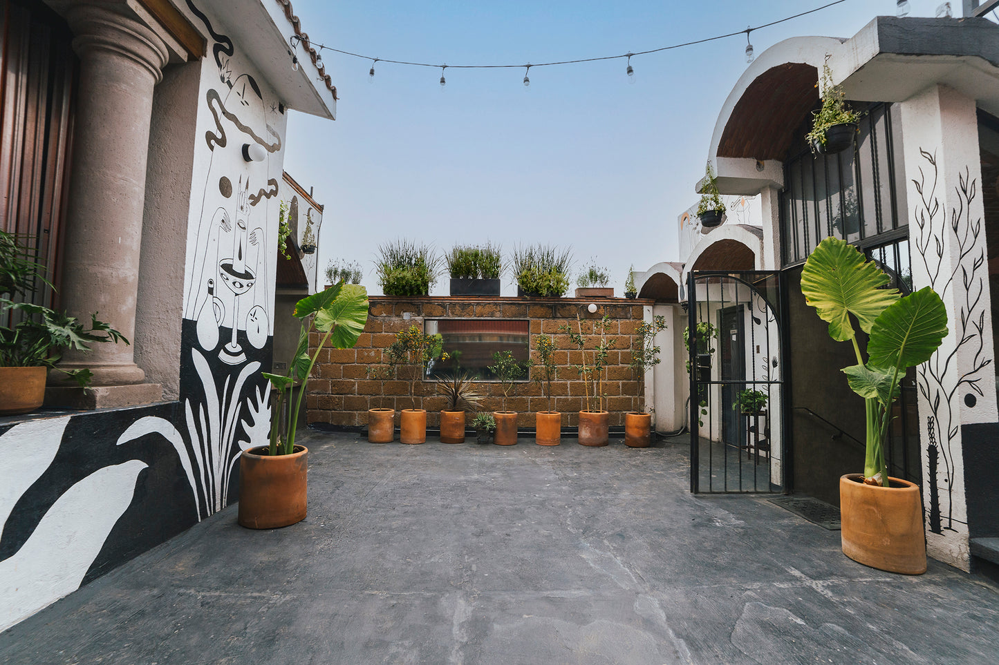 Renta de Rooftop (Básico)
