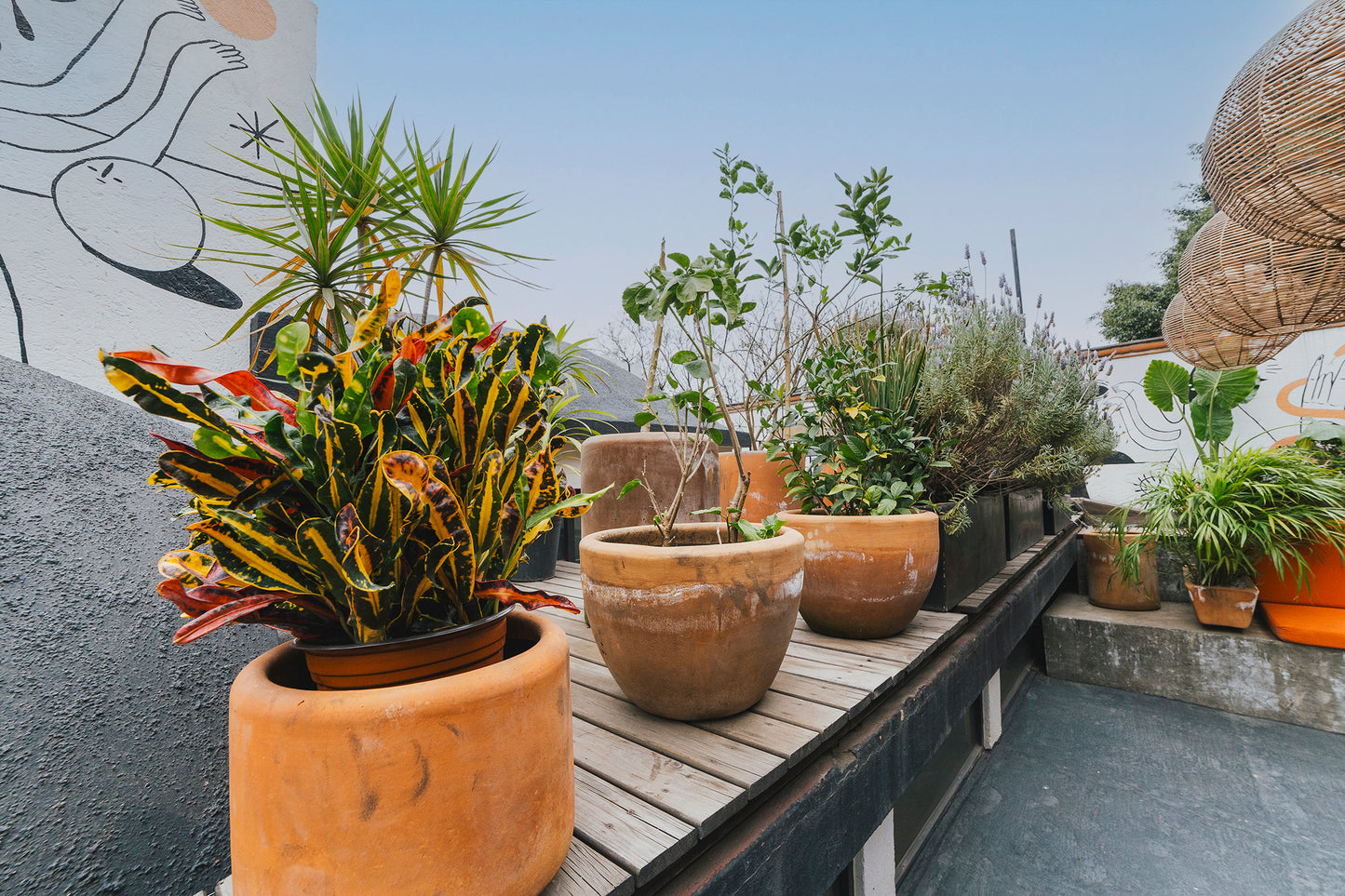 Renta de Rooftop (Básico)