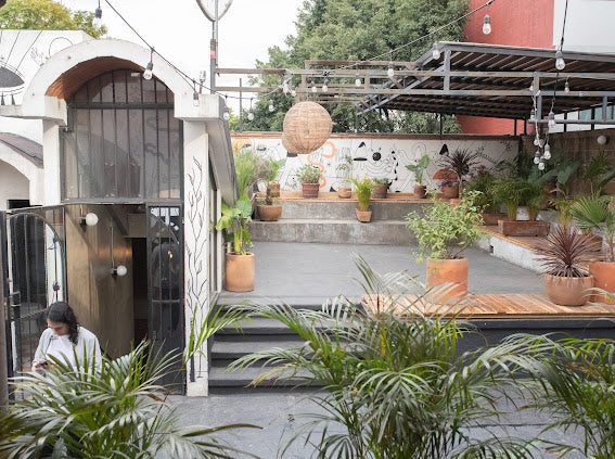 Renta de Rooftop (Básico)
