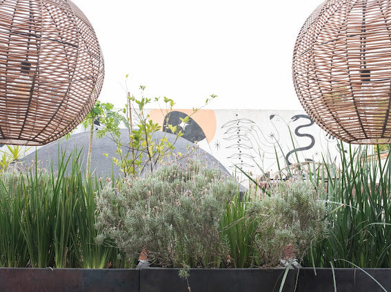 Renta de Rooftop (Premium)